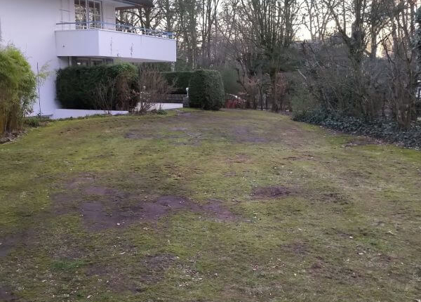 Außenanlagen 03 - RL Gebäudemanagement - Thumbnail RL Gebäudemanagement - Thumbnail - Außenanlagen 03