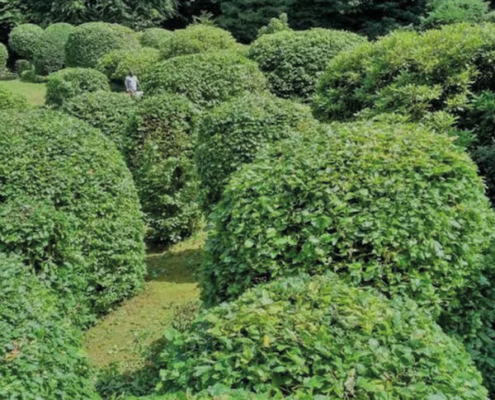 RL Gebäudemanagement - Thumbnail - Gartenpflege